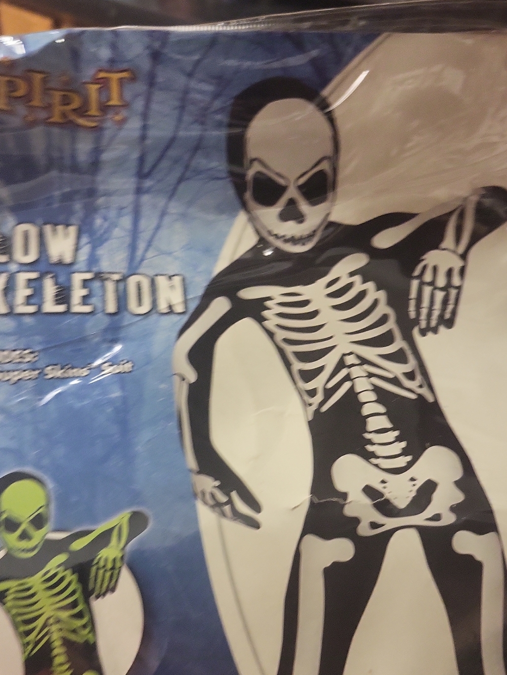 Spirit Glow Skeleton Kids Costume - Black & White